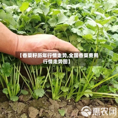 【香菜籽历年行情走势,全国香菜费用行情走势图】-第2张图片