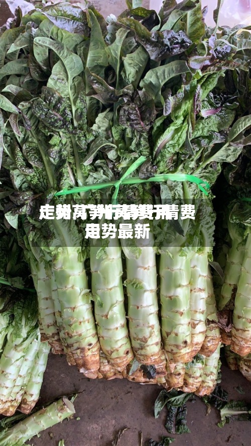 广州莴笋行情费用
走势/广州莴笋行情费用
走势最新-第3张图片