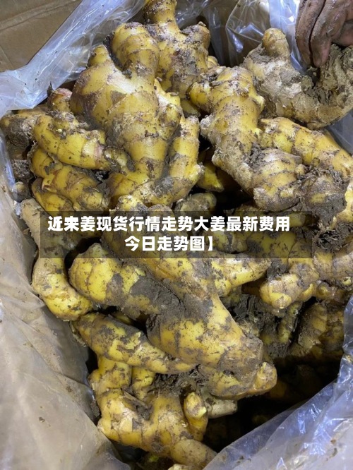 近来
【大姜现货行情走势大姜最新费用
今日走势图】-第2张图片