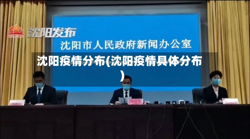 沈阳疫情分布(沈阳疫情具体分布)
