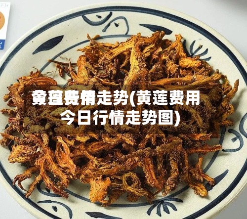 黄莲费用
今日行情走势(黄莲费用
今日行情走势图)-第2张图片