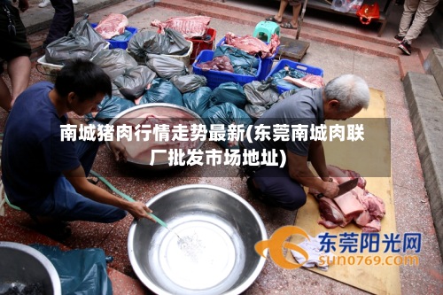 南城猪肉行情走势最新(东莞南城肉联厂批发市场地址)
