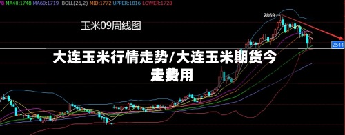 大连玉米行情走势/大连玉米期货今天费用
走势-第2张图片