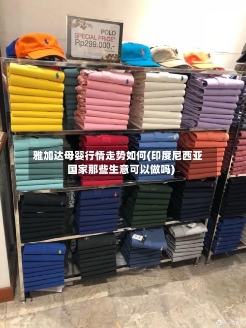 雅加达母婴行情走势如何(印度尼西亚国家那些生意可以做吗)-第2张图片