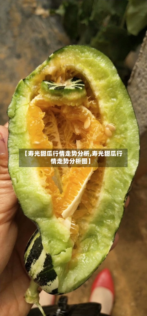 【寿光甜瓜行情走势分析,寿光甜瓜行情走势分析图】-第2张图片