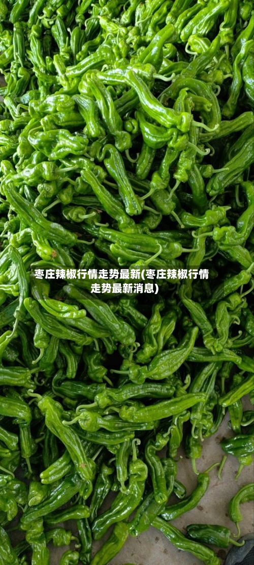 枣庄辣椒行情走势最新(枣庄辣椒行情走势最新消息)-第2张图片
