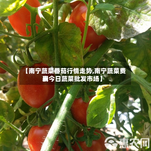 【南宁蔬菜番茄行情走势,南宁蔬菜费用表今日蔬菜批发市场】