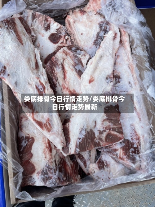 娄底排骨今日行情走势/娄底排骨今日行情走势最新