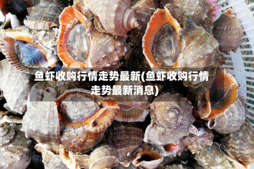 鱼虾收购行情走势最新(鱼虾收购行情走势最新消息)